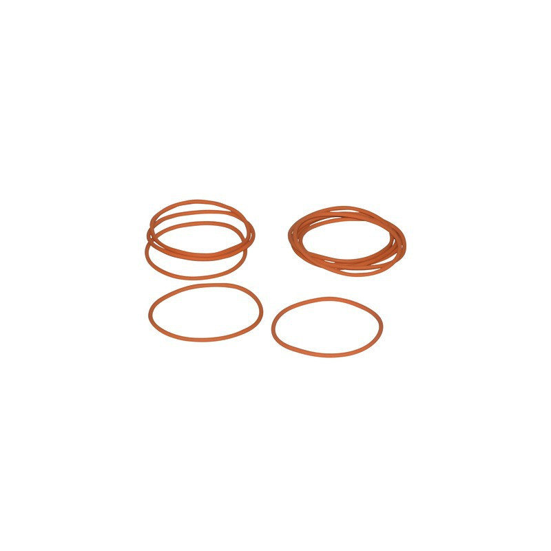 Joint torique- SAUNIER DUVAL - 05622600  - (X10)