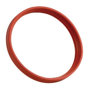 Lippendichtung Rauch Ø: 60mm- FRISQUET - F3AA40673