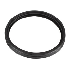 Dichtung Rauch(DI:60)EPDM nach CD05- FRISQUET - F3AA40840
