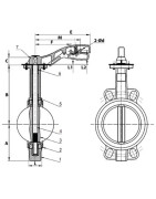 Vanne papillon à oreilles de centrage fonte DN200- DIFF - 110173