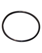 O-Ring 120,02x6,99-n- GEMINOX - 87185725380