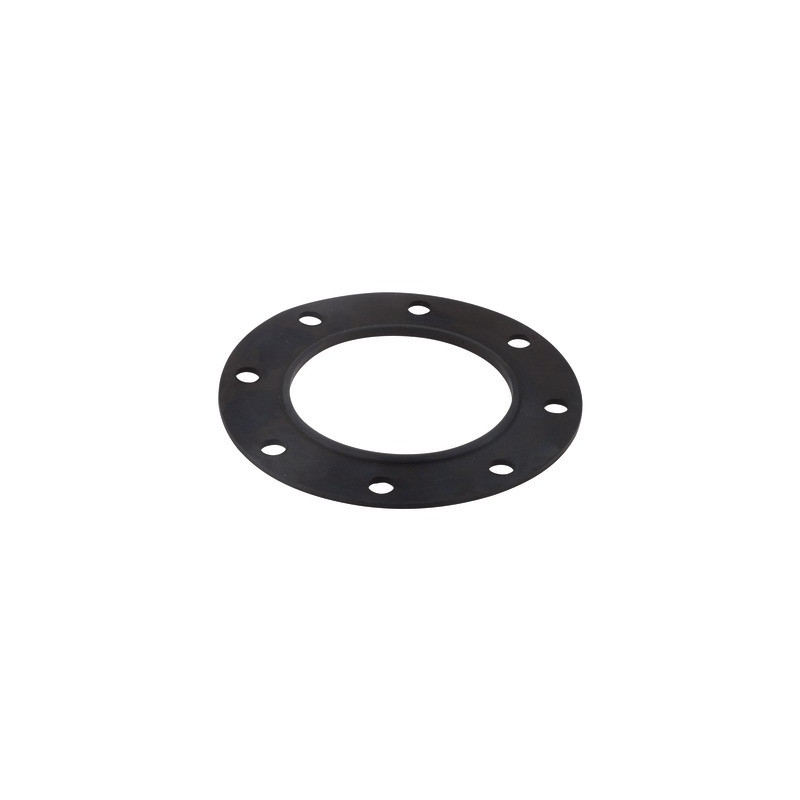 Joint pour bride (1.COM01.011)- CHAPPEE - S19000022