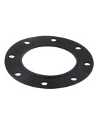 Joint pour bride (1.COM01.011)- CHAPPEE - S19000022