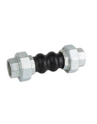 Compensateur dilatation F2"- DIFF - 110287