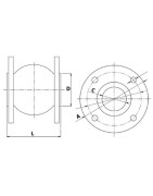 Compensateur à brides DN150- DIFF - 110295