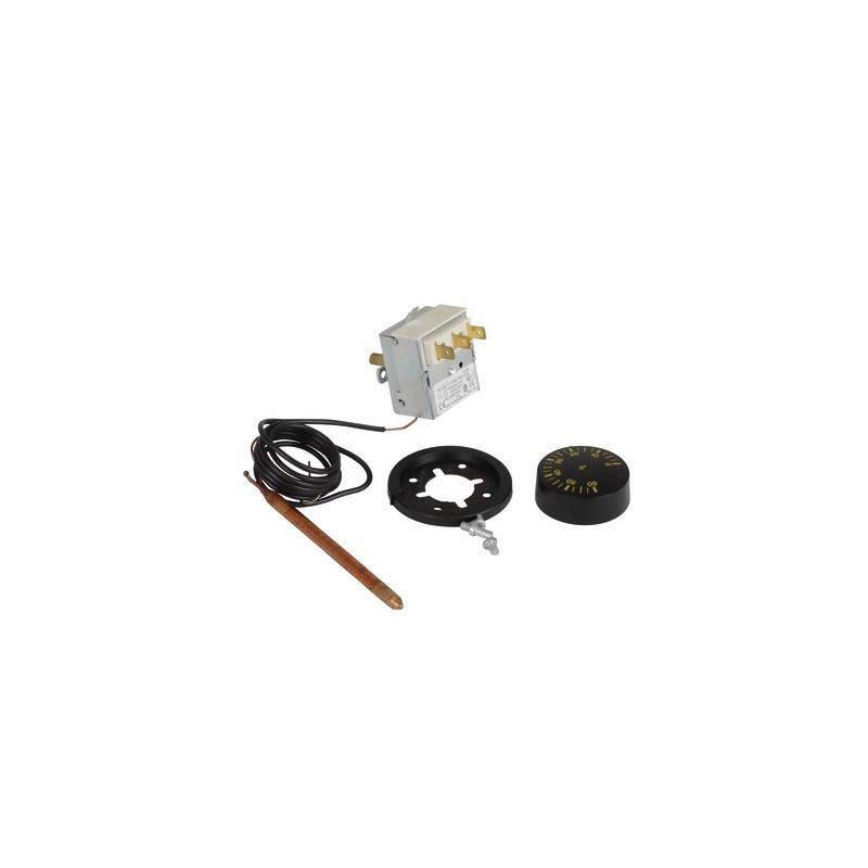 Regelungsthermostat mit Fühler IMIT Typ TR 2 0-60deg- DIFF - 485016