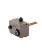 Tauchthermostat mit Gehäuse CAEM Typ TU RM BDT- DIFF - 703930