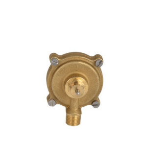Pumpen-Druckwächter- CHAPPEE - JJJ005641850